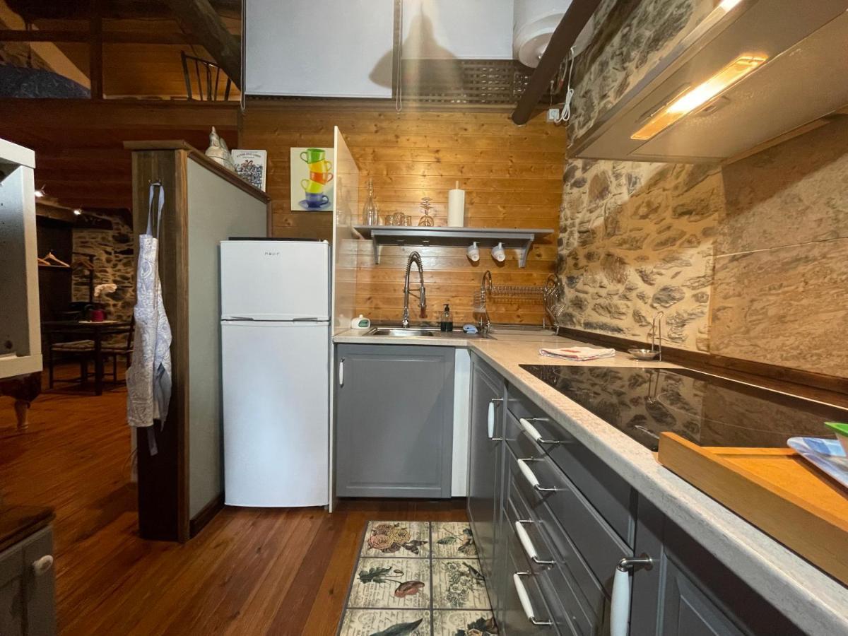 Apartamento Felicitas En La Casa De Cobos, Ribeira Sacra Puebla Del Brollon Екстер'єр фото