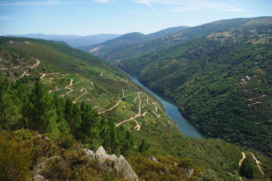 Apartamento Felicitas En La Casa De Cobos, Ribeira Sacra Puebla Del Brollon Екстер'єр фото