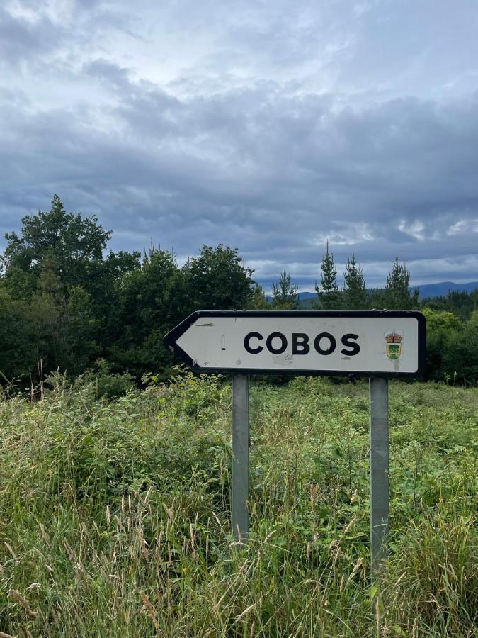 Apartamento Felicitas En La Casa De Cobos, Ribeira Sacra Puebla Del Brollon Екстер'єр фото